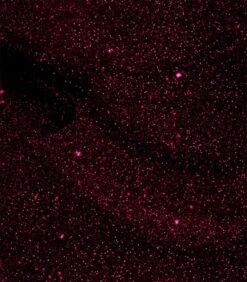 Pink Gellac - Dramatic Red - Gellak - Vegan - Rood - Shimmer Finish - 15 Ml -Maybelline Beauty Verkoop 1050x1200 46