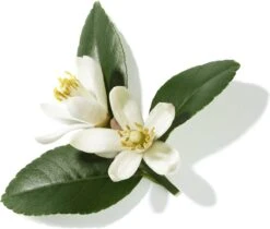 Lancôme Poême 30 Ml - Eau De Parfum - Damesparfum -Maybelline Beauty Verkoop 1200x1019