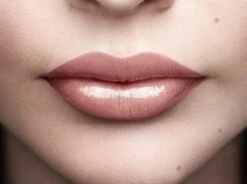 L'Oréal Paris Color Riche Shine Lippenstift - 658 Topless -Maybelline Beauty Verkoop 1200x895