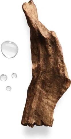 Giorgio Armani Acqua Di Gio Absolu 75ml - Eau De Parfum - Herenparfum -Maybelline Beauty Verkoop 616x1200